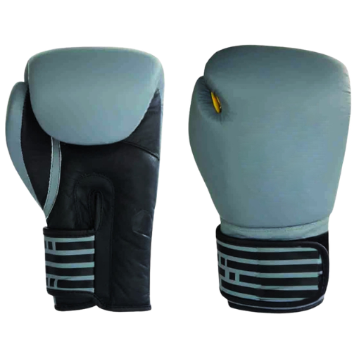 Boxing Gloves & Mitts