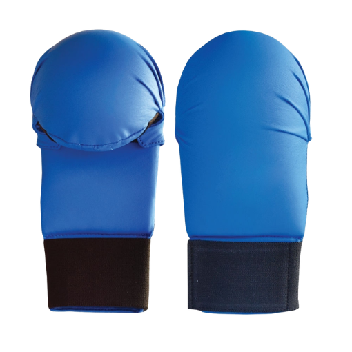 Boxing Gloves & Mitts